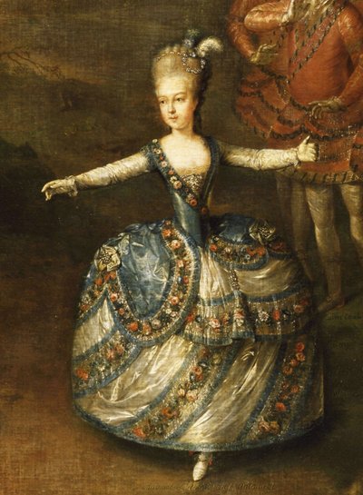 Fiesta organizada para celebrar el matrimonio del emperador José II con la princesa Marie-Josèphe de Baviera de Johann Georg Weikert