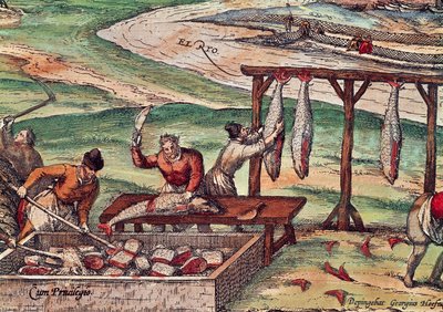 Procesamiento de atún, miniatura de 