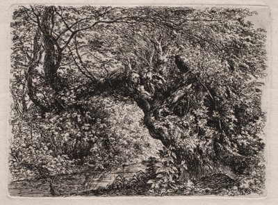 The Old Willow at a Brook de Georg von Dillis