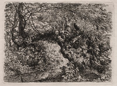 El viejo sauce en un arroyo, 1794 de Georg von Dillis
