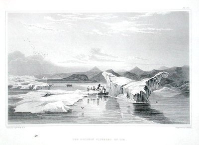 El Delfín atrapado por el hielo, de 