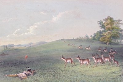 Cartera de indios norteamericanos de George Catlin de George (after) Catlin