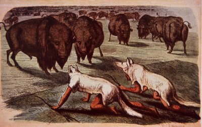 Indios de las llanuras norteamericanas se acercan a los búfalos mientras usan pieles de lobo, c.1840 (litografía en color) de George (after) Catlin