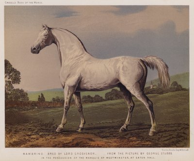 Nambrino, Criado por Lord Grosvenor, En Posesión del Marqués de Westminster, en Eaton Hall de George (after) Stubbs