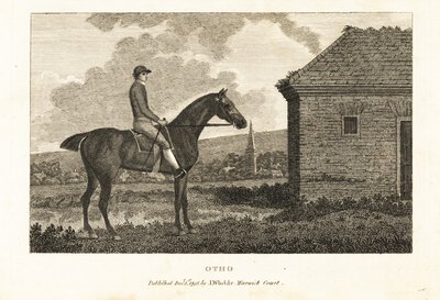 Retrato del caballo de carreras de pura sangre Otho de George (after) Stubbs
