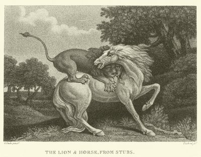 El león y el caballo, de Stubs de George (after) Stubbs