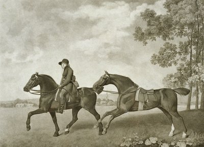 Dos Caballos de Tiro de George (after) Stubbs