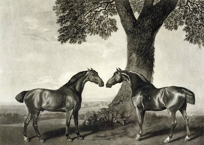 Dos Cazadores de George (after) Stubbs