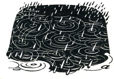 Diseño de charco de lluvia de George Adamson