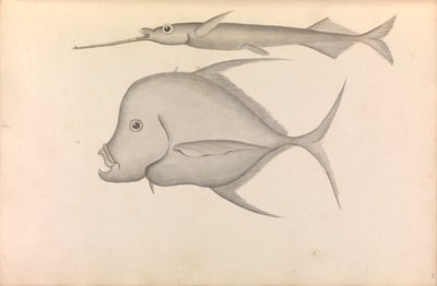 Relato de la vuelta al mundo del comodoro George Anson de George Anson