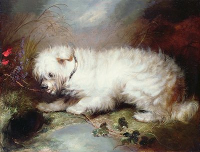 En la vigilancia, 1867 de George Armfield