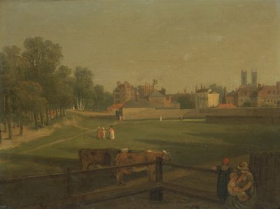 Una Vista Occidental de Parte de Westminster y Bird Cage Walk, desde Mill House de George Arnald