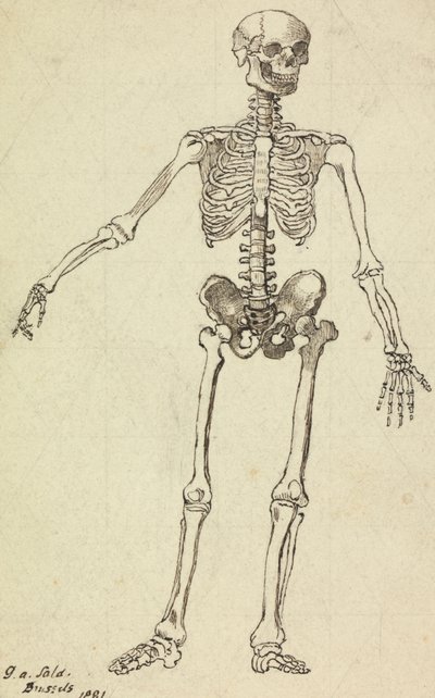 Dibujo de un esqueleto de George Augustus Sala