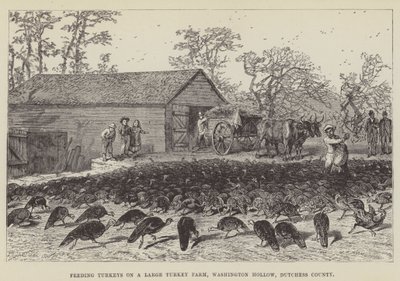 Alimentando pavos en una granja grande de pavos, Washington Hollow, condado de Dutchess de George Augustus Sala