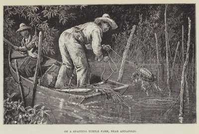 En una granja de tortugas mordedoras, cerca de Annapolis de George Augustus Sala