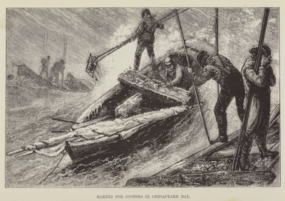 Rastrillando ostras en la bahía de Chesapeake de George Augustus Sala