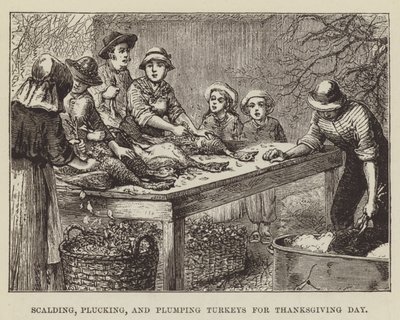 Escaldado, desplumado y engorde de pavos para el Día de Acción de Gracias de George Augustus Sala