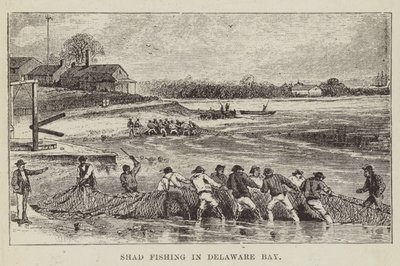 Pesca de sábalo en la bahía de Delaware de George Augustus Sala