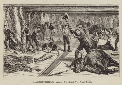 Matando y desollando ganado de George Augustus Sala