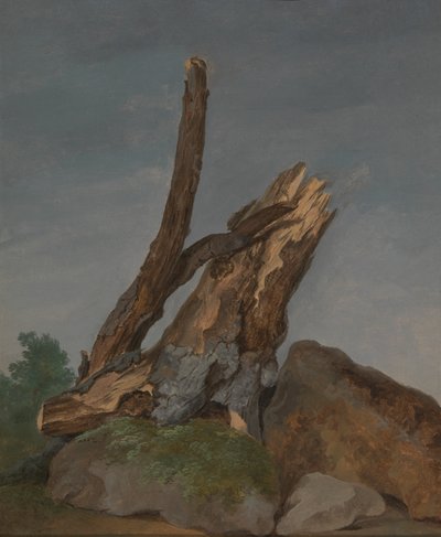 Estudio de rocas y ramas de George Augustus Wallis