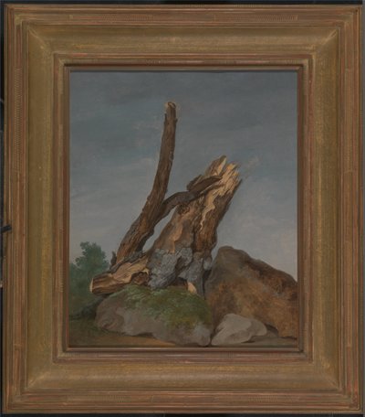 Estudio de rocas y ramas de George Augustus Wallis