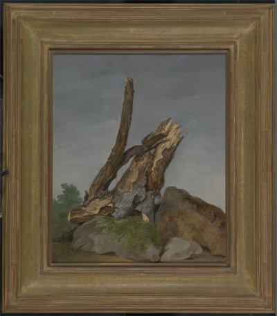 Estudio de rocas y ramas, c.1795 de George Augustus Wallis
