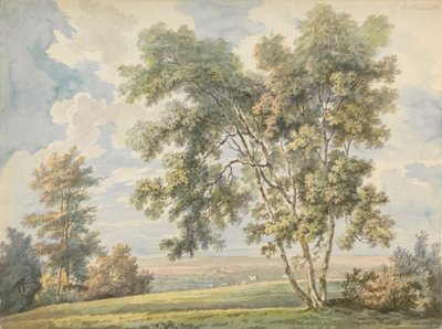 Paisaje con árboles y ovejas (Park Landscape with Sheep) de George Barret