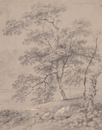 Estudio de árboles de George Barret