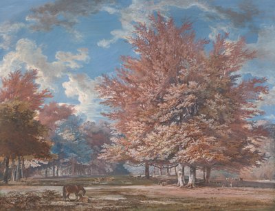 Vista en un parque de George Barret