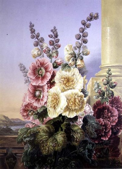 Malvarrosas de George Baxter