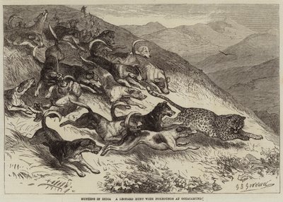 Caza en India, una caza de leopardos con perros de caza en Ootacamund de George Bouverie Goddard