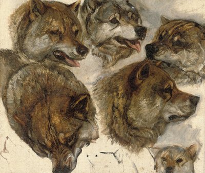 Estudios de cabezas de huskies de George Bouverie Goddard