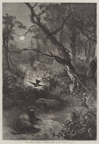 El escondite del tejón, una noche de verano en el bosque de George Bouverie Goddard