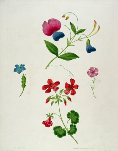 Una ilustración de 