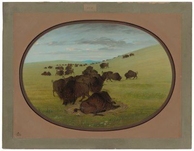 Un baño de búfalos de George Catlin