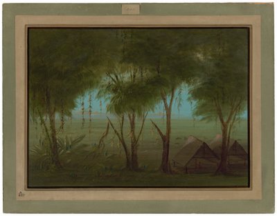  de George Catlin
