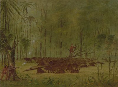 Una Pelea con Pecaríes - Caribe de George Catlin