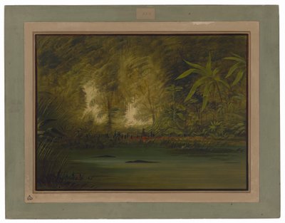 Una laguna del Alto Amazonas de George Catlin