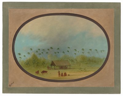  de George Catlin