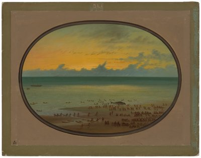 Una ballena en la costa - Klahoquat de George Catlin