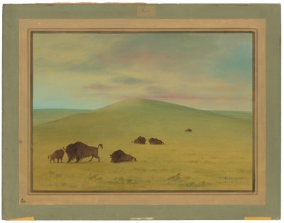 Pastizales americanos - Praderas del Platte de George Catlin