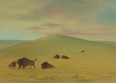 Pastoreo Americano - Praderas del Platte, 1861-1869 de George Catlin