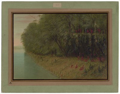 Un bosque amazónico - Mirando a la orilla de George Catlin