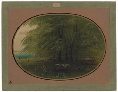 Un pueblo indígena - Orilla del Amazonas de George Catlin