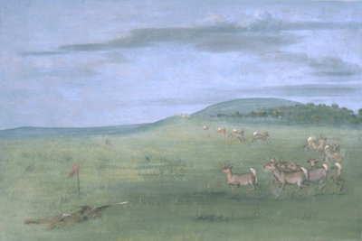Caza de antílopes con señuelos de George Catlin