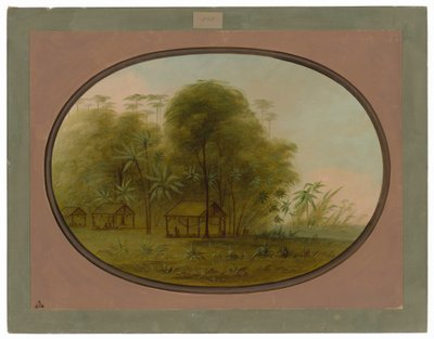 Aldea Arowak de George Catlin
