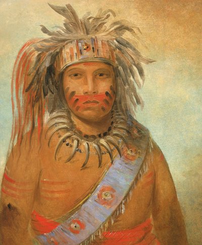 Au-nim-muck-kwa-um, Pájaro Tempestuoso, 1845 de George Catlin