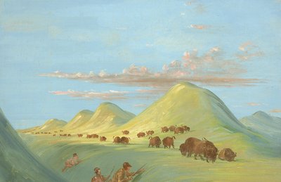 Batiste, Bogard y yo acercándonos a Buffalo en el Missouri de George Catlin