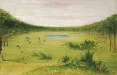 Hermosa sabana en los pinares de Florida de George Catlin