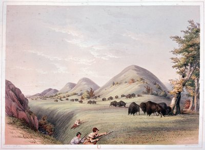 Caza de bisontes de George Catlin